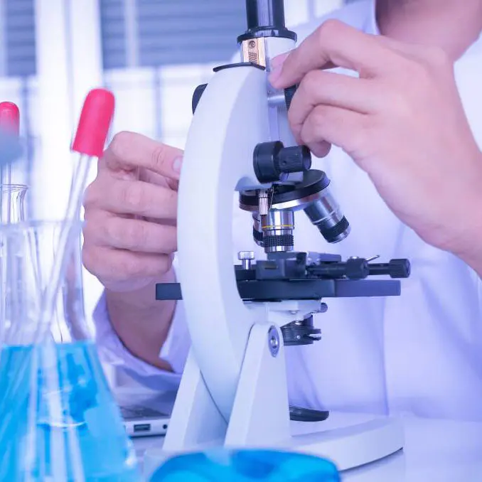 Processo di produzione di zinco borato